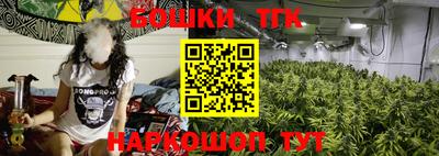 тгк Шахты
