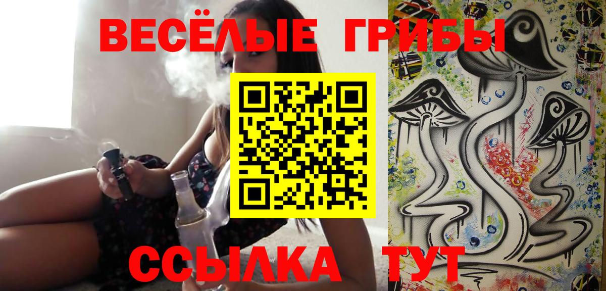 Псилоцибиновые грибы Cubensis Щёлково